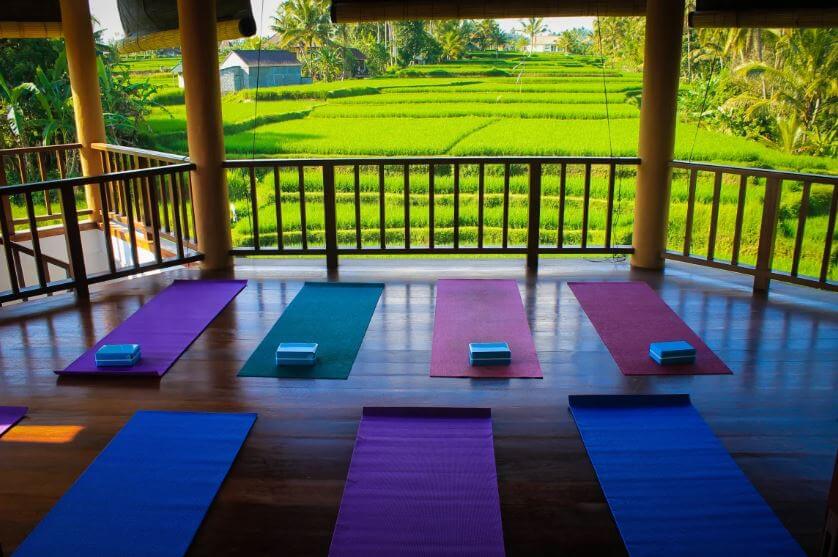 Ubud Rice Field House