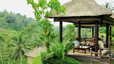 Tegalalang Rice Terrace