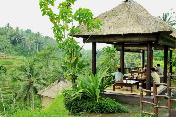 Tegalalang Rice Terrace