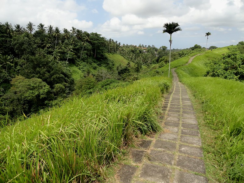 Campuhan Ridge Walk